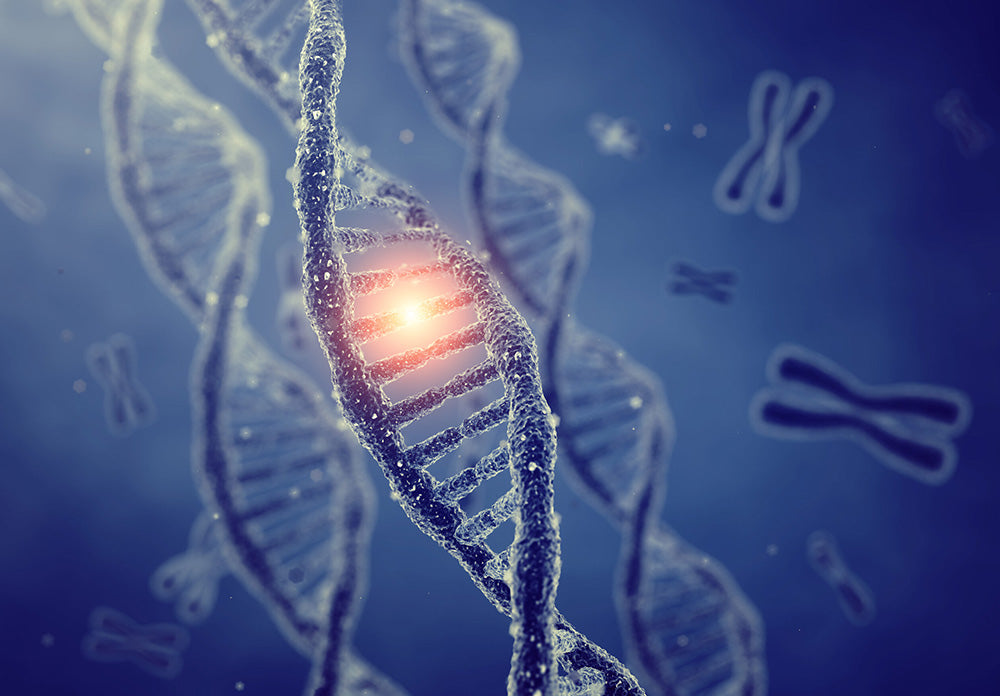 Regenerative Medicine Services